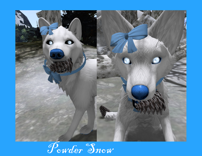 TWI Powder Snow Spirit Bundle Package