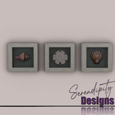 Serendipity Designs - Sag Harbor Framed Shells