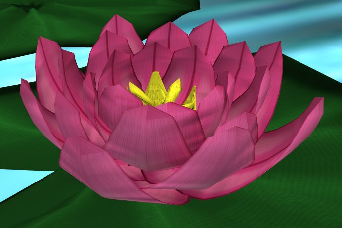 Water Lilly Sculpted Pink