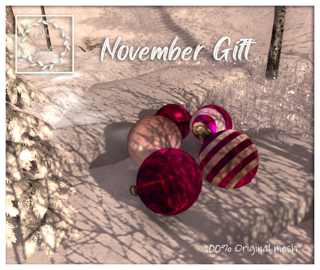 C*November Gift 