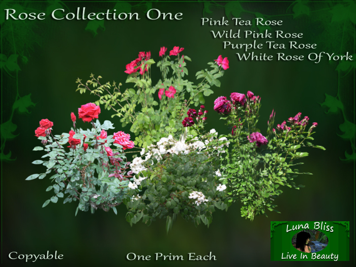 Rose Collection One By Luna Bliss