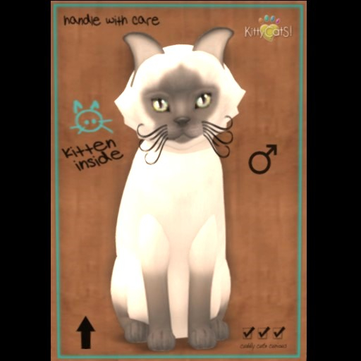 KittyCatS Box - Siamese - Blue Marble Magic Fussy Mysterious Fl