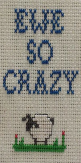 Ewe So Crazy Needlework Texture