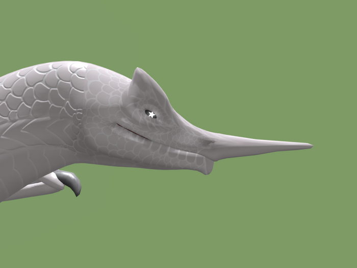 Dwarf Dragon head longpoint