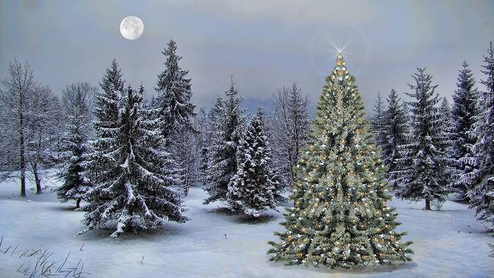 Happy Holidays - Oh Christmas Tree