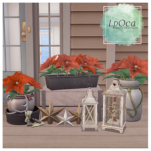 LpOca Poinsettia Set