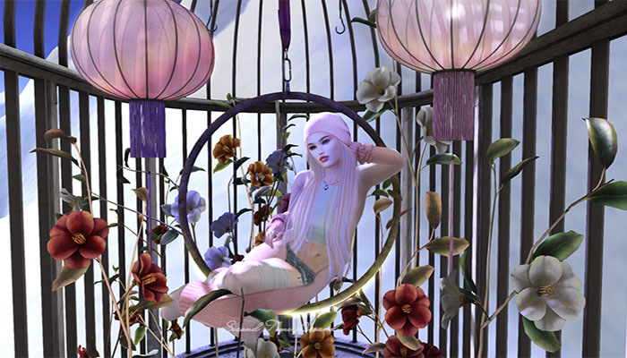 {anc} CAMELLIA. Complete Set w/ RARE