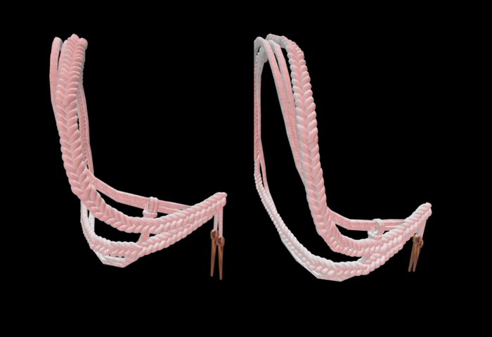 Aiguillette