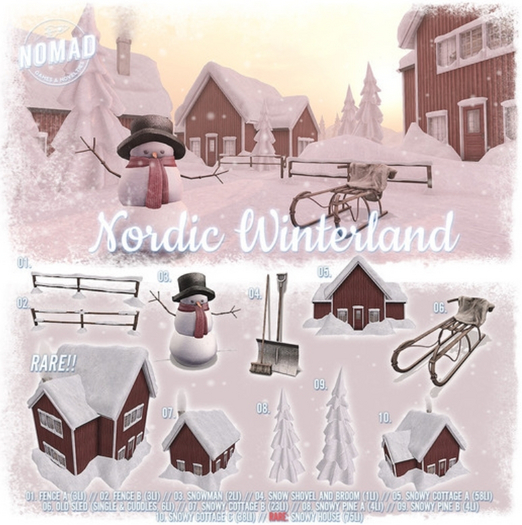 NOMAD // Nordic Winterland // 10