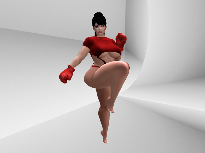 Martial arts06