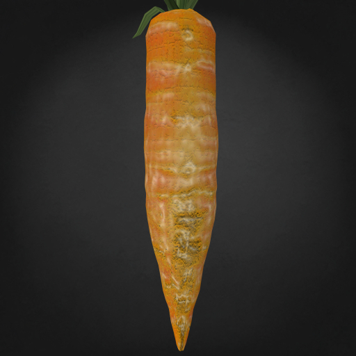 {Papillon} Dit/Sma/Nor/Nee/+ Carrot