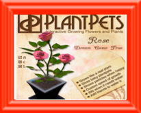 PlantPet Seed [Rose *Dream Come True*]