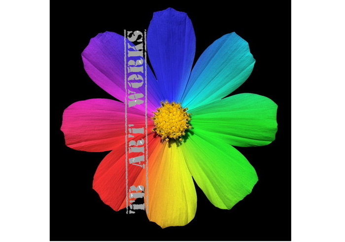 TB Flower Rainbow Petals