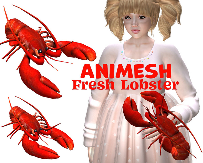 * Animesh - Fresh Lobster