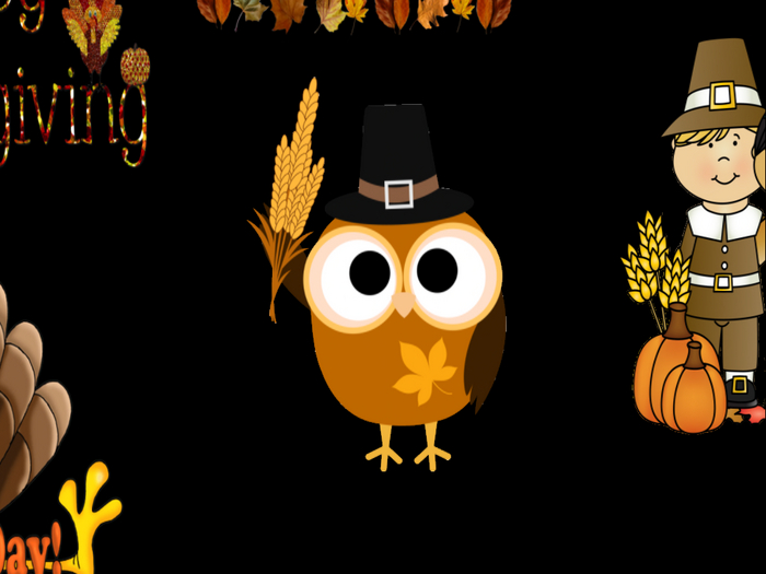 Thanksgiving Pilgrim Owl 2021
