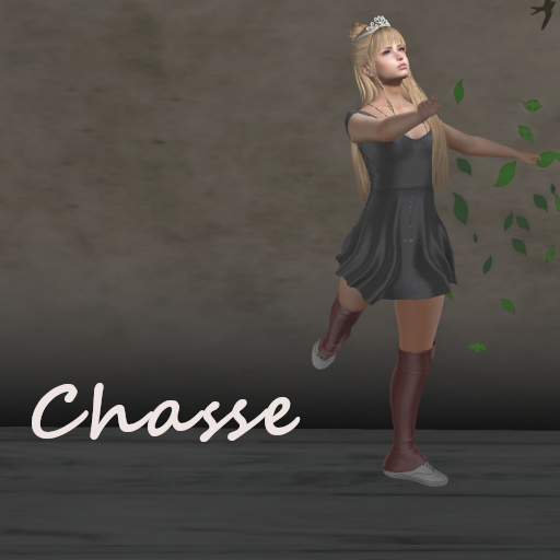 Ballet ST chasse