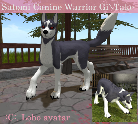 [YZR]  Canine Warrior - Gi/Take