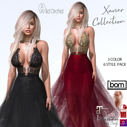 Wild Orchid _ Xavier Collection