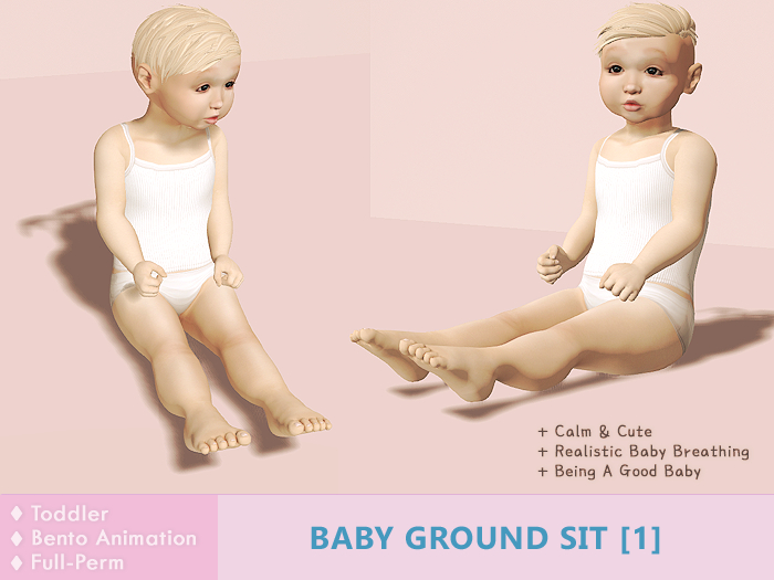 Baby Ground Sit [1] (Cute/Curious/Calm/Good)