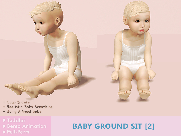 Baby Ground Sit [2] (Cute/Curious/Calm/Good)