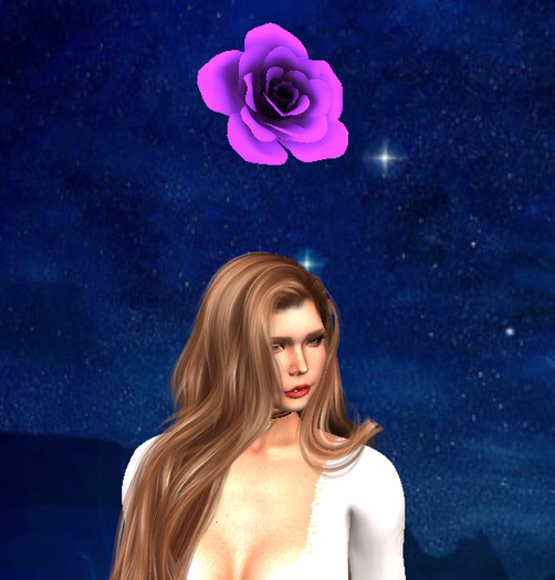 [RSS] [RSS] Overhead Follower Tipjar - Purple Rose