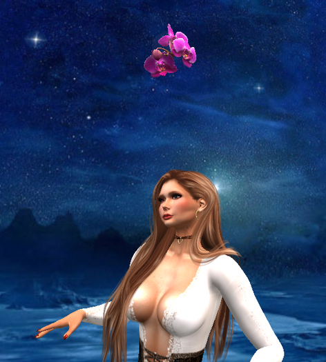 [RSS] [RSS] Overhead Follower Tipjar - Pink Orchid
