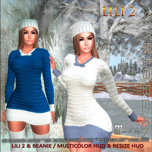 LILI 2 DRESS (BOX Wear me)