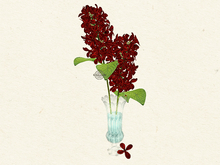 Apple Fall | Breakfast at Tiffany's | Dark Lilacs in vase