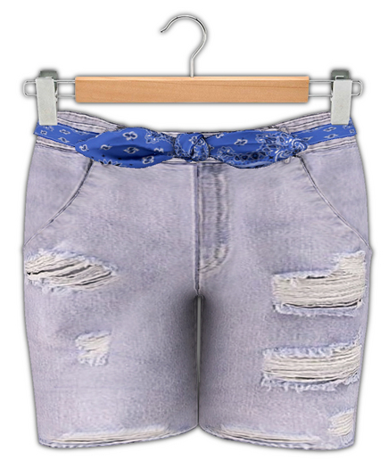 {Little Miss} Distressed Shorts / Youth & TD / Washed
