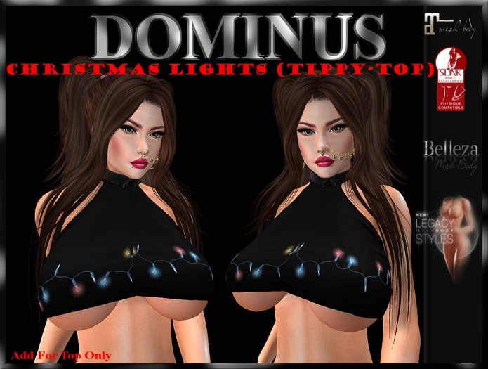 ~DOMINUS~Christmas lights (Tippy-Top)  (ADD)