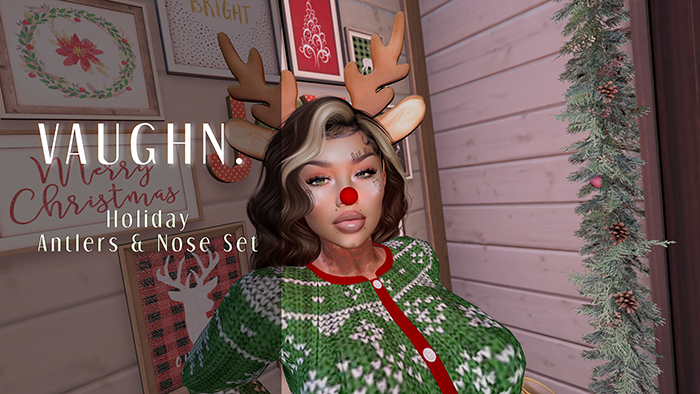 Vaughn. - Holiday Antlers & Nose