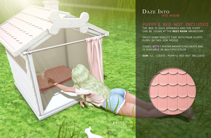 Daze into Dog house Rose
