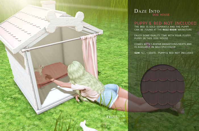 Daze into Dog house Dark brown