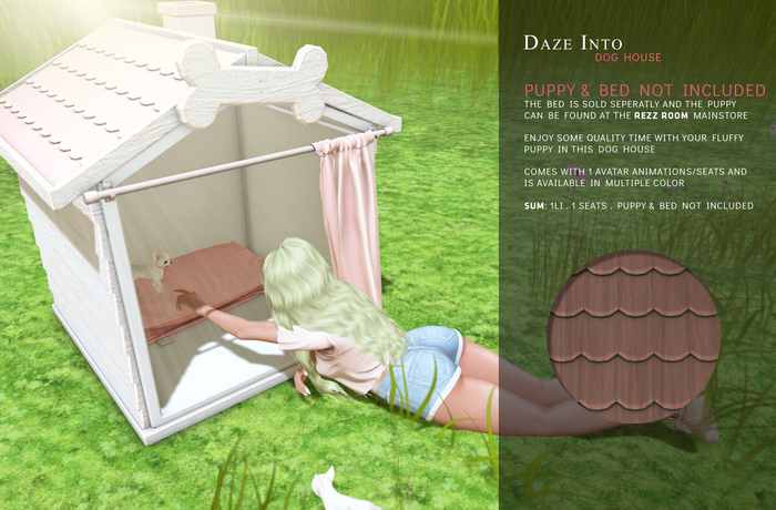 Daze into Dog house Brown