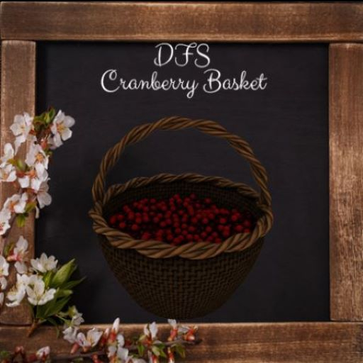 [5] DFS Cranberry Basket