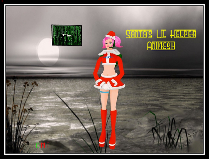 Santa's Little Helper 