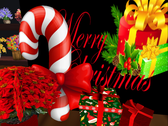 Christmas Candy Cane & Sign Xmas gifts & Poinsetta 2021