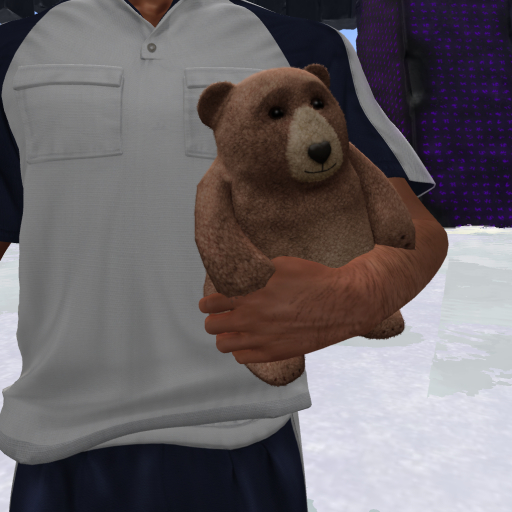 "Friendship Bear" 