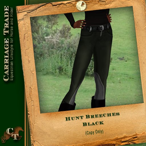 @CT@ Hunt Breeches Women Black