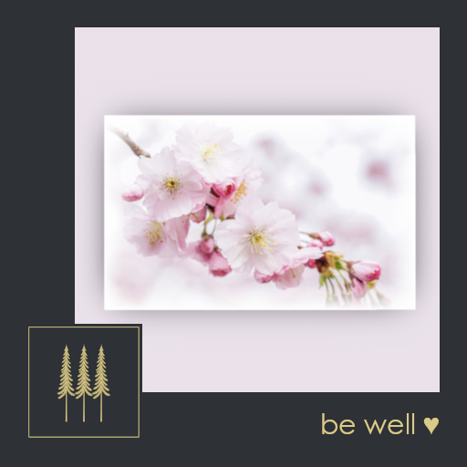PROMO ➛ Modern Wall Art (Sakura Mist) - Ethereal Misty Photo of Pink Cherry Blossoms - Mesh C/M (Wear to Unpack) 
