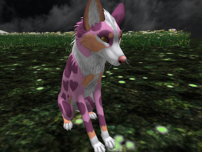 TWI Pink Aussie Fox Texture Applier