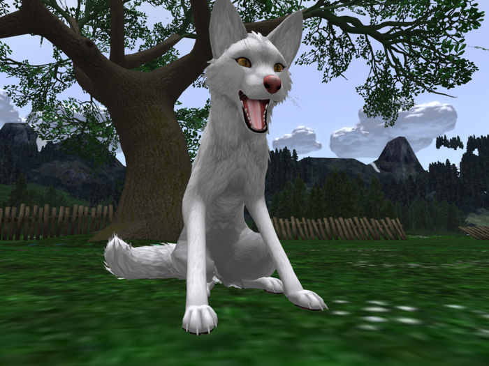 TWI White/Albino Fox Texture Applier