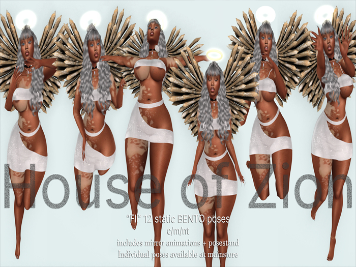 ~HOZ~ FLi BENTO Pose Pk