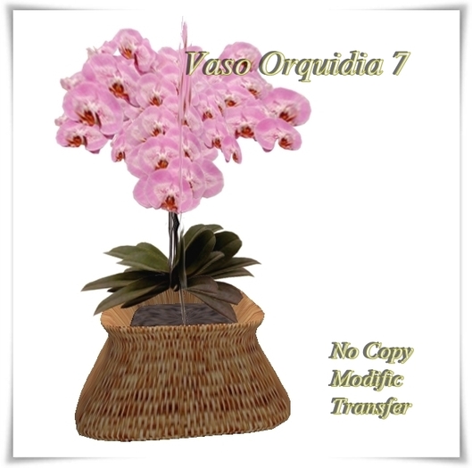 Box Emi & Jack Creations - Orquidia 7