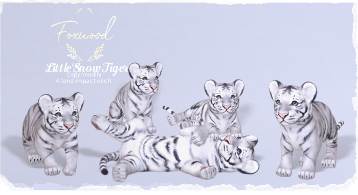 Foxwood - Little Tiger Snow
