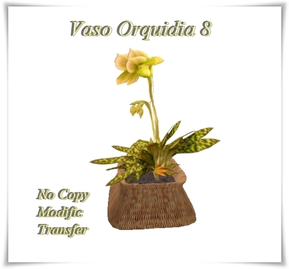 Box Emi & Jack Creations - Orquidia 8