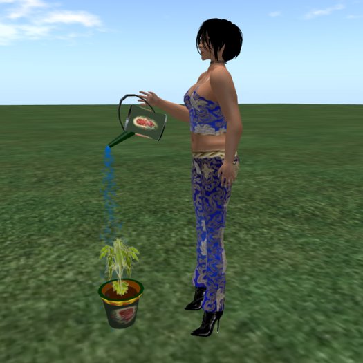 Growing Plant (Tomato) Complete Set