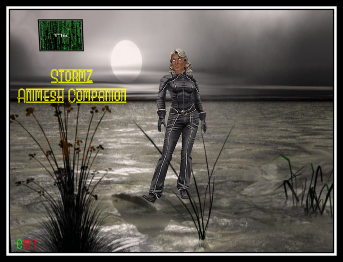 ~Stormz Animesh Companion~