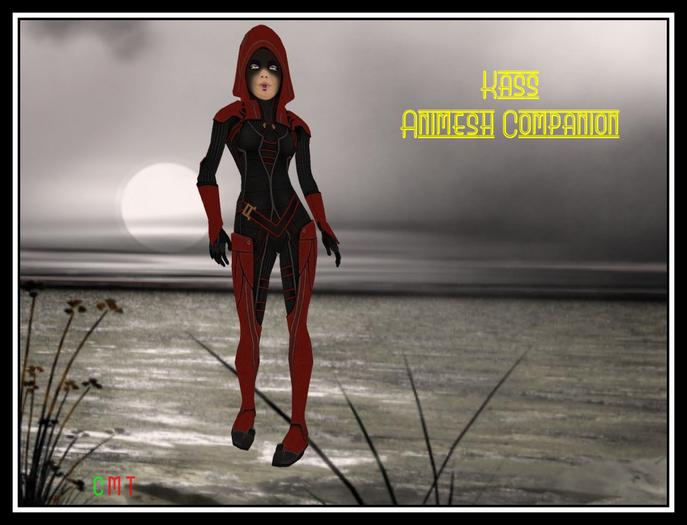 ~Kass Animesh Companion~