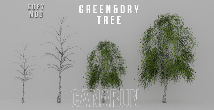 *Green And Dry Tree - CANARUN